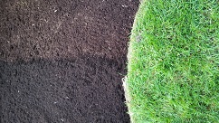 Dyed Mulch vs Non-Dyed Mulch